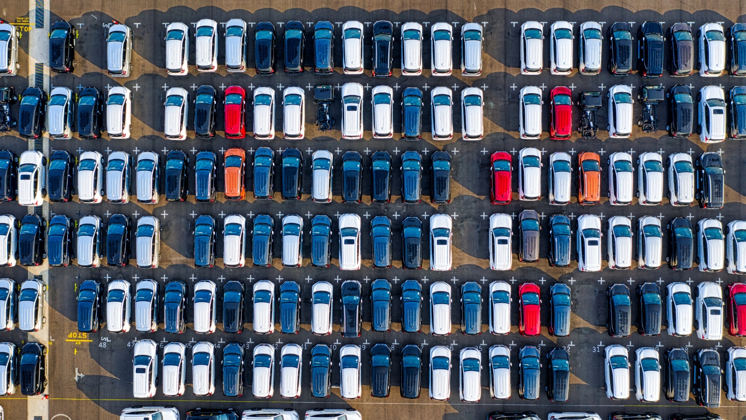 Featured image for “What Are the Most Common Mistakes in Large-Scale Fleet Installations?”